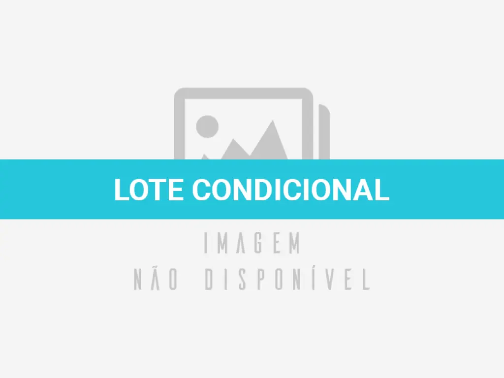 LOTE 001