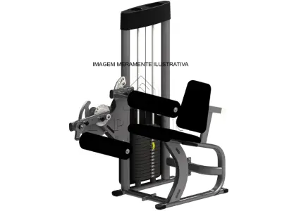 LOTE 035 - MÁQUINA FLEXORA SENTADA
