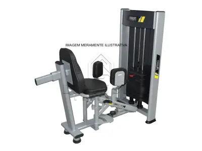 LOTE 033 - MÁQUINA ADUÇÃO