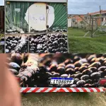 LOTE 003 - Reboque