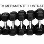 LOTE 021 - JOGO DE HALTERES