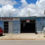 IMÓVEL CAPÃO DO LEÃO